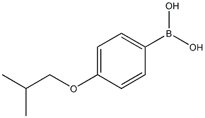 4_ISOBUTOXYPHENYLBORONIC ACID